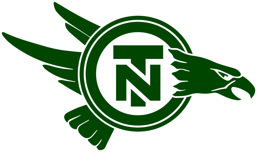 North Texas Mean Green 1983-1994 Primary Logo DIY iron on transfer (heat transfer)